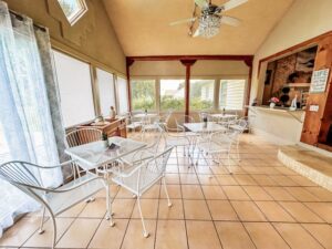 IMG_5505-scaled-Medium